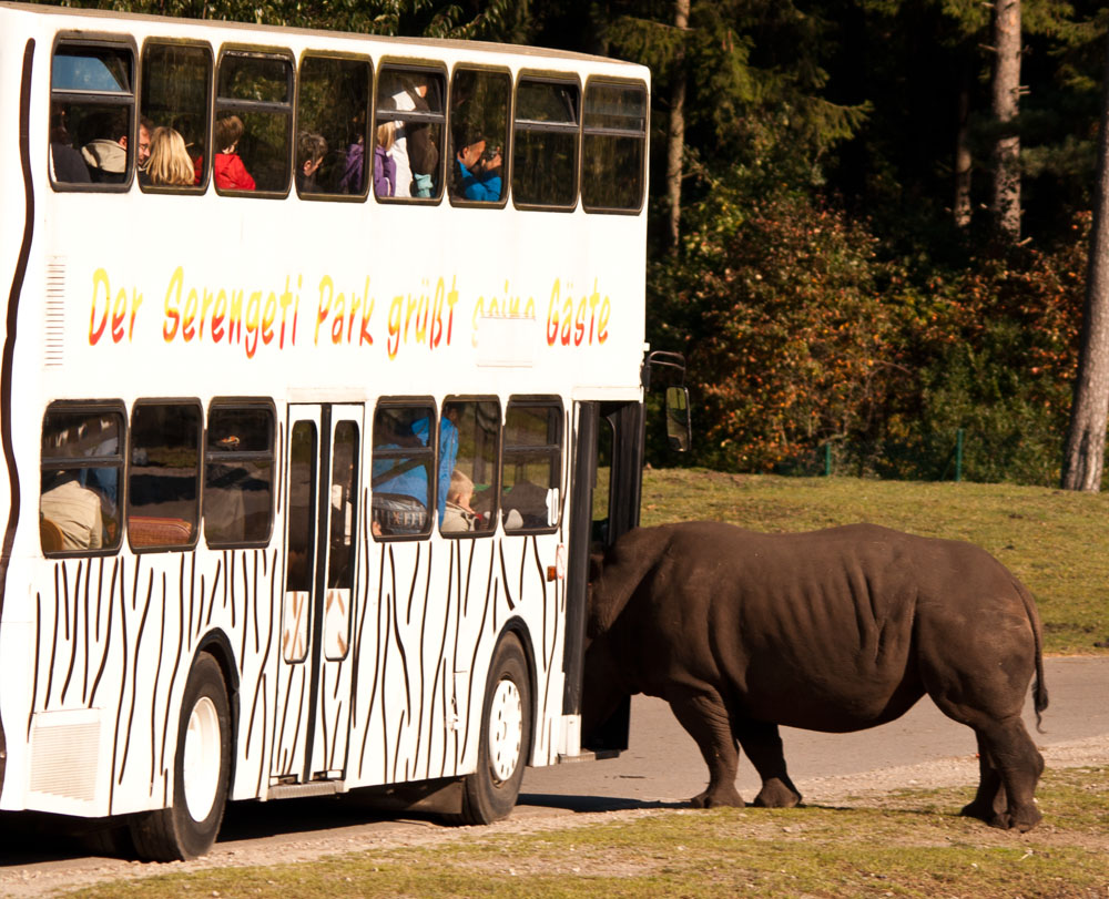 kostenlose Busfahrt ?