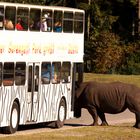 kostenlose Busfahrt ?