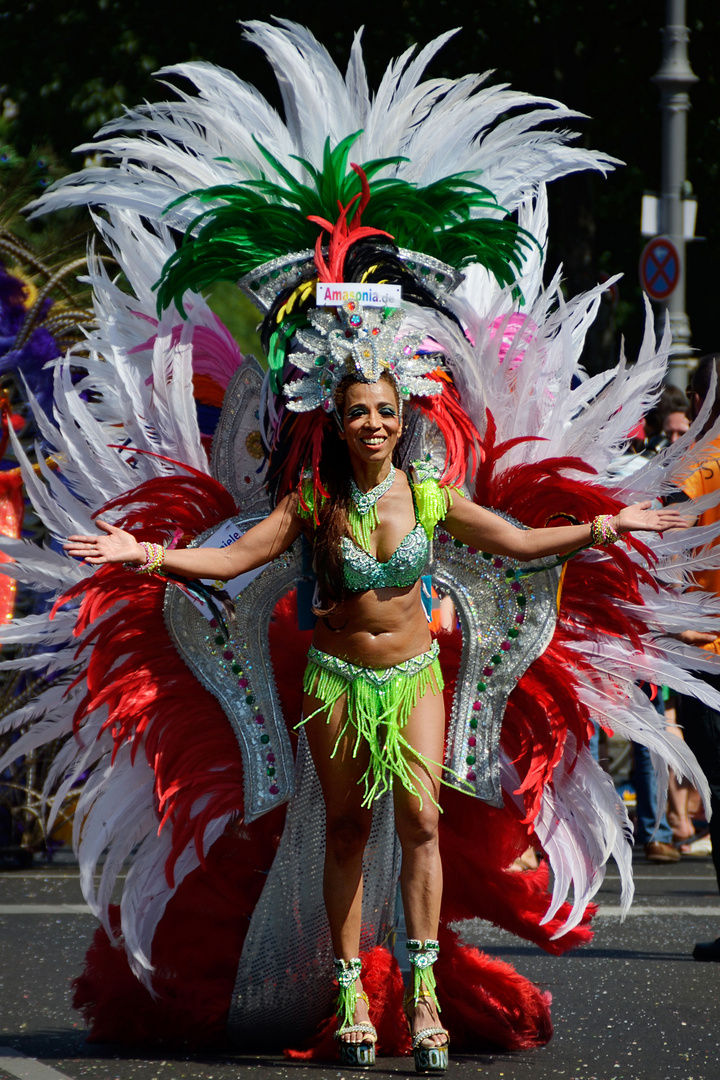 Kostüm #a _ Karneval der kulturen 2014