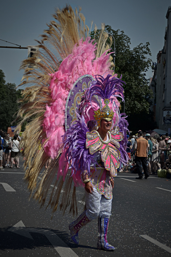 Kostüm #c - Karneval der kulturen 2014