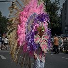 Kostüm #c - Karneval der kulturen 2014