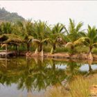 Kotakinabalu- Sabah-Borneo