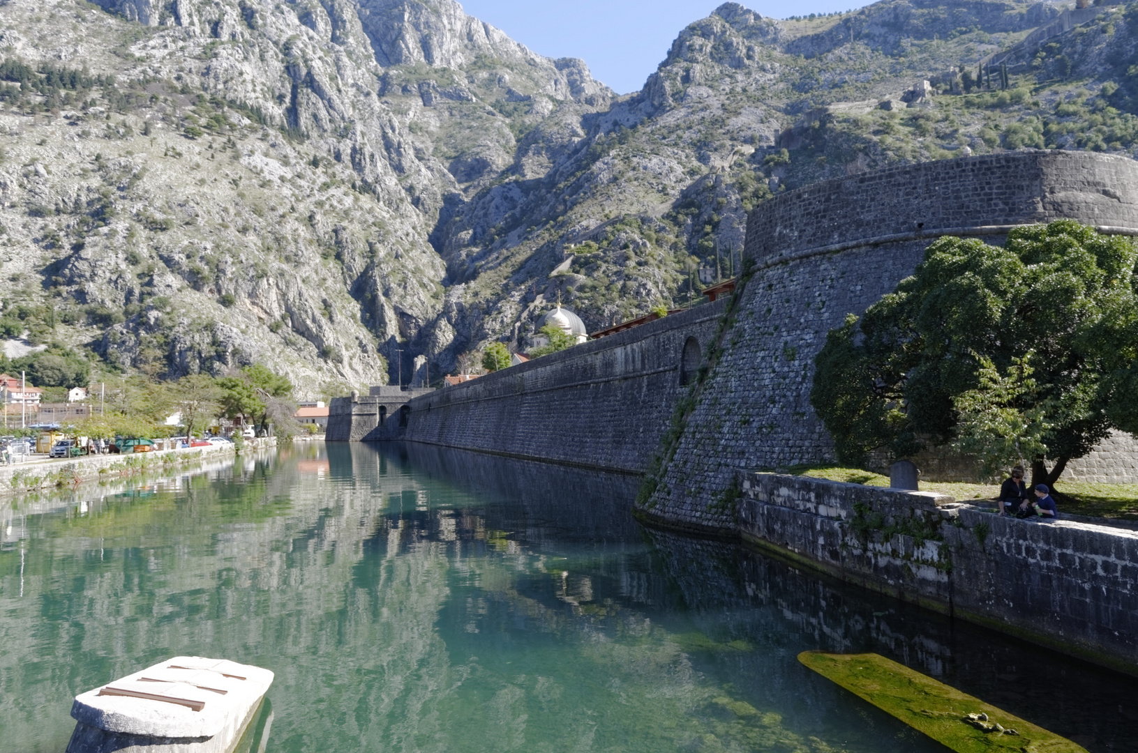 Kotor