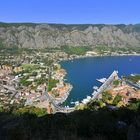 Kotor