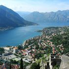 Kotor