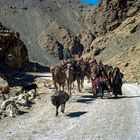 Kotschi-Karawane im Tal von Bamiyan