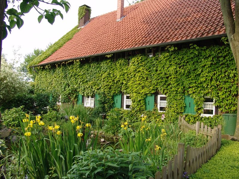 Kotten Nie in Gladbeck (alter Bauernhof)