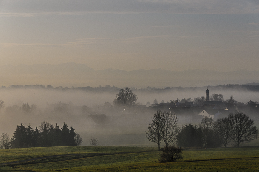 Kottgeisering am Morgen