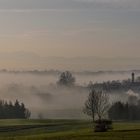 Kottgeisering am Morgen