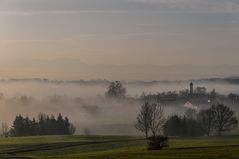 Kottgeisering am Morgen