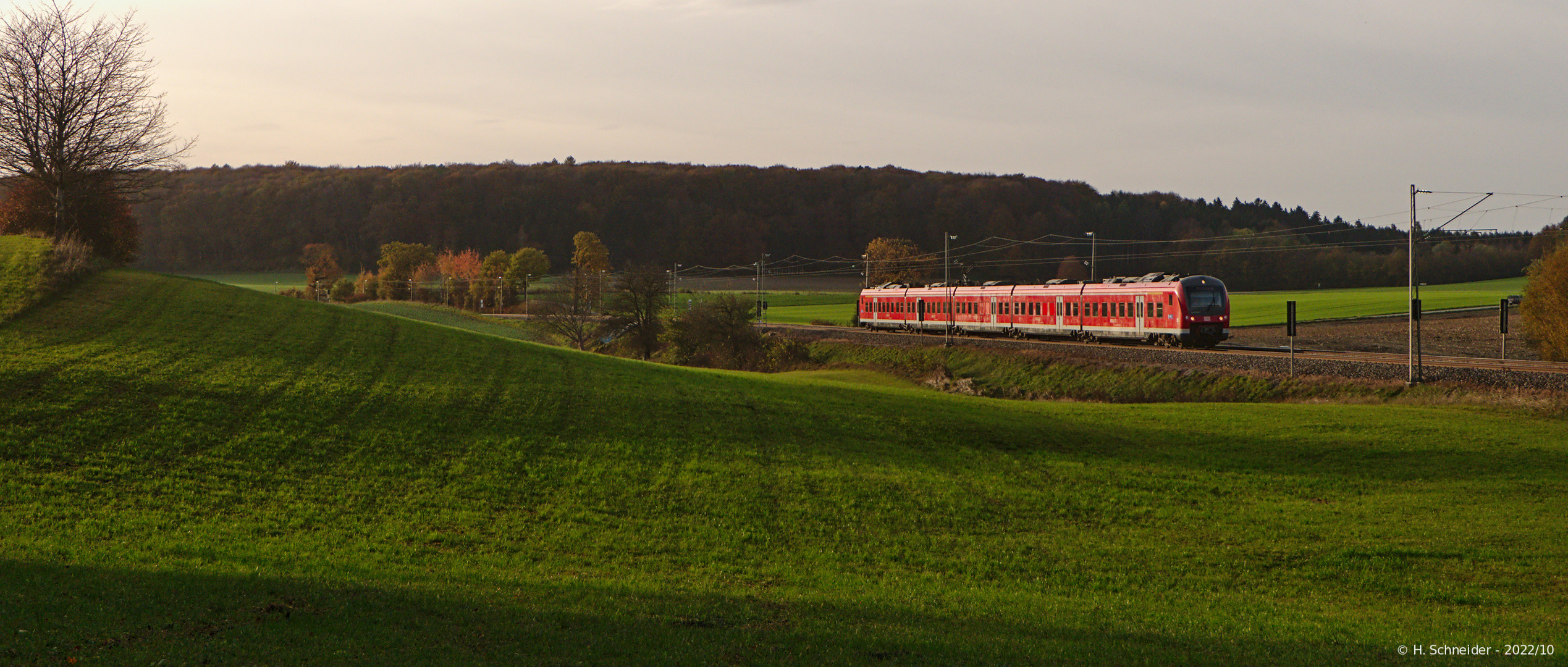 Kottgeisering-Impression