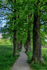 Kottmüller Eichen-Allee in Murnau