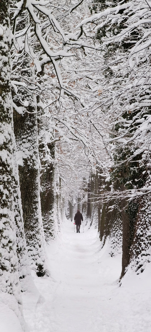 Kottmüllerallee, Murnau