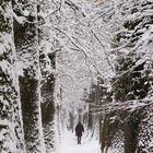 Kottmüllerallee, Murnau