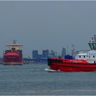 KOTUG RT EVOLUTION / Tug / Beerkanal / Rotterdam