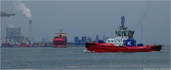 KOTUG RT EVOLUTION / Tug / Beerkanal / Rotterdam