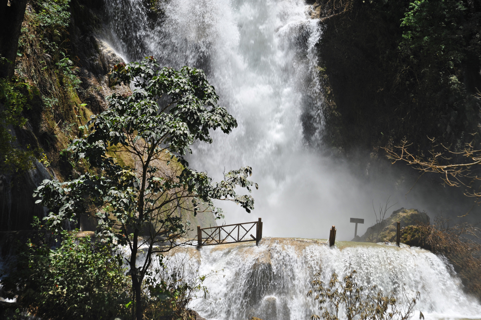 Kouang Si Waterfall 93