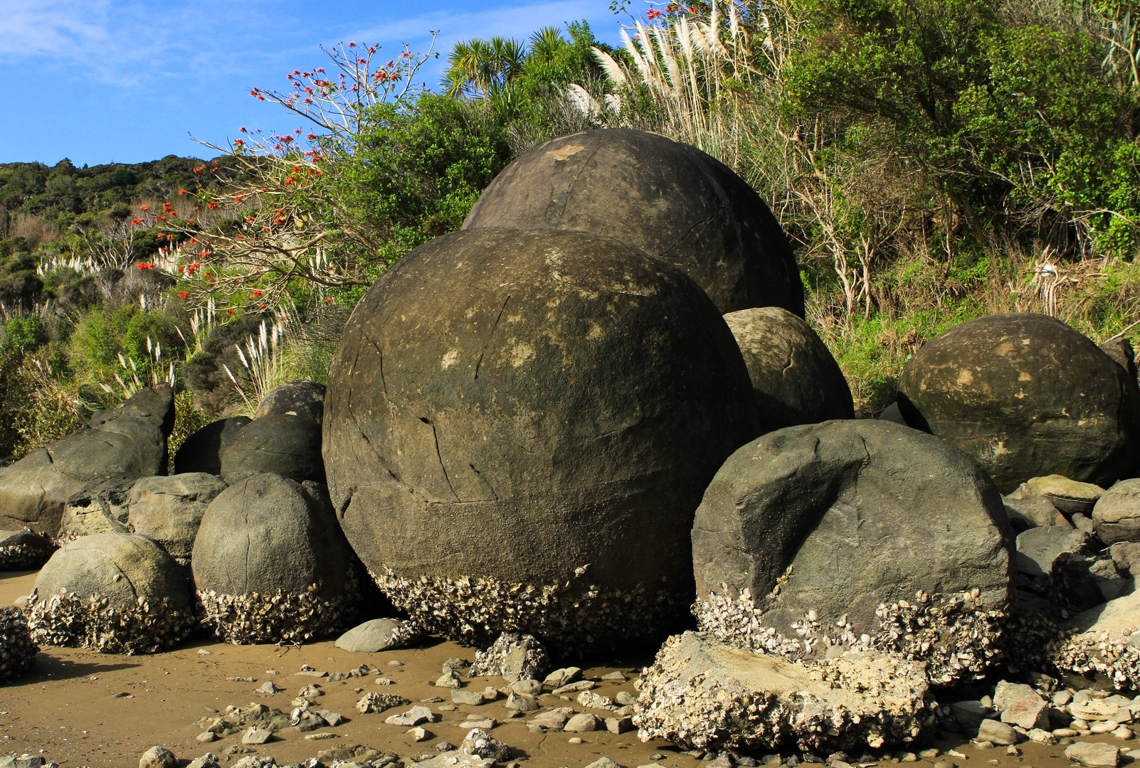 Koutu Boulders