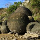 Koutu Boulders