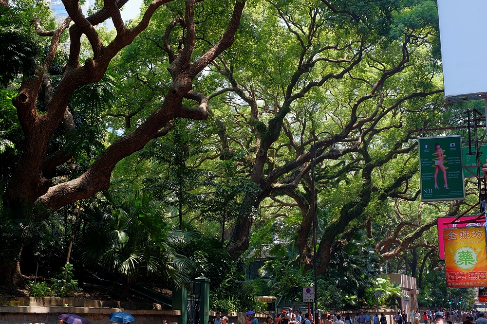 Kowloon Park