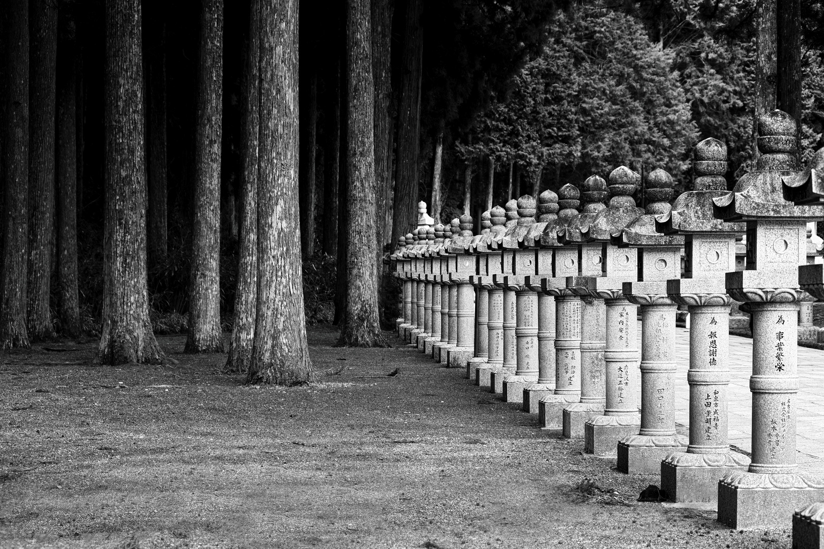 Koya-san - Okunoin Friedhof