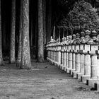 Koya-san - Okunoin Friedhof