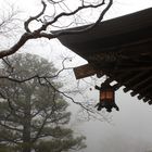 Koyasan im Nebel