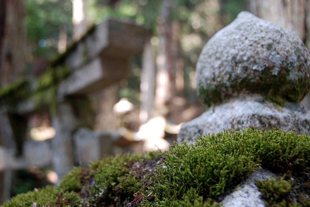 Koyasan - Okuno-in Cemetery