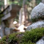 Koyasan - Okuno-in Cemetery