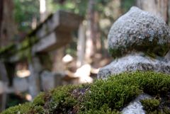 Koyasan - Okuno-in Cemetery