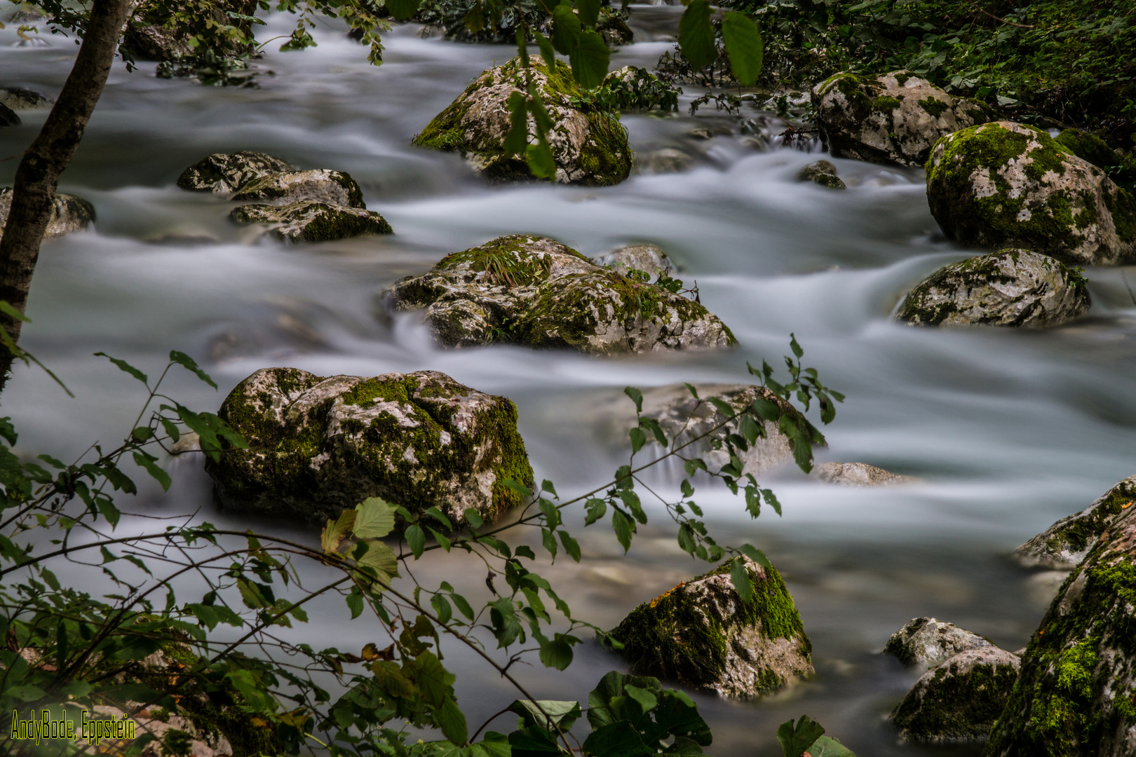 Kozjak