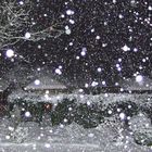    KP159 Nacht  / Kalender -Tag 15: Let it snow.......