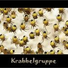 krabbelgruppe