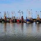 Krabben - Kutter im Hafen von Norddeich