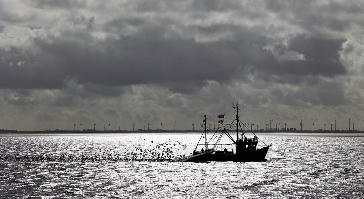 Krabbenfang im Wattenmeer