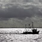 Krabbenfang im Wattenmeer