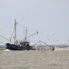 Krabbenfang vor der Insel Terschelling