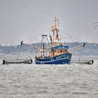   Krabbenfischen vor Neuharlingersiel