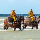 Krabbenfischer an der Belgischen Küste