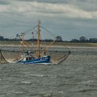 Krabbenfischer auf der Elbe