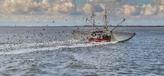 Krabbenfischer auf der Nordsee