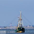 Krabbenfischer vor Amrum