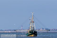 Krabbenfischer vor Amrum