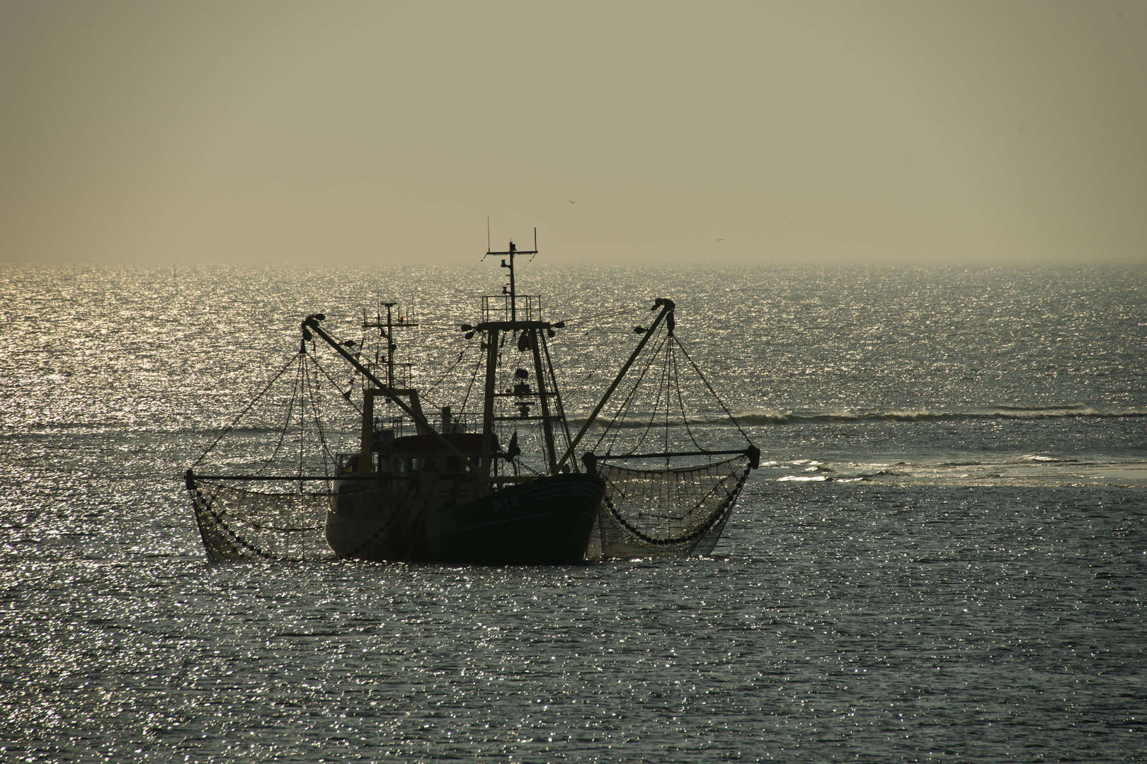 Krabbenfischer vor Borkum