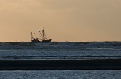 Krabbenfischer vor Langeoog