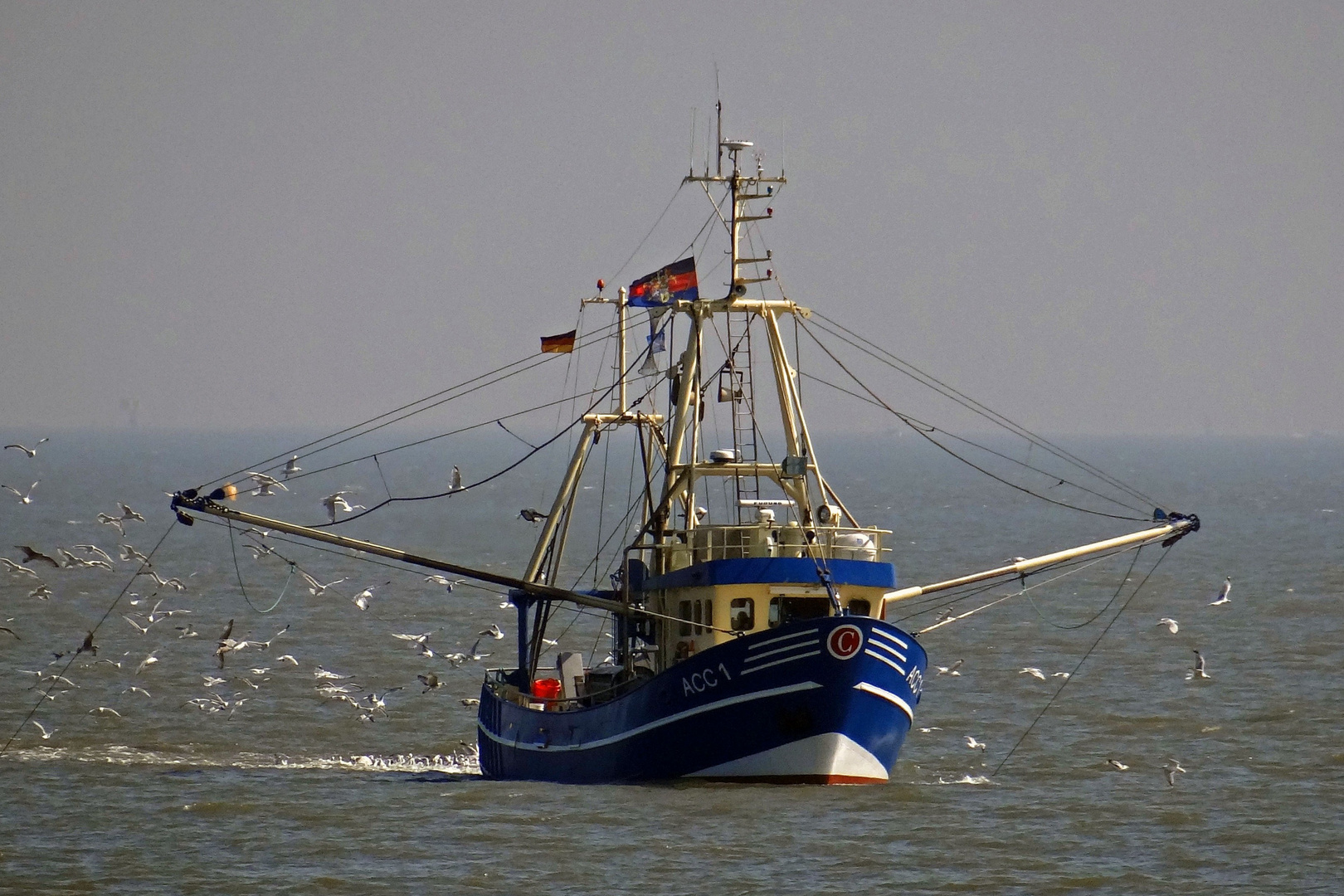 Krabbenfischer vor Langeoog