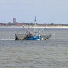 Krabbenfischer vor Norderney