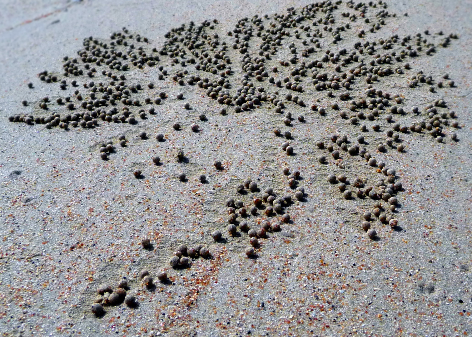 Krabbenkugeln aus Kristallsand