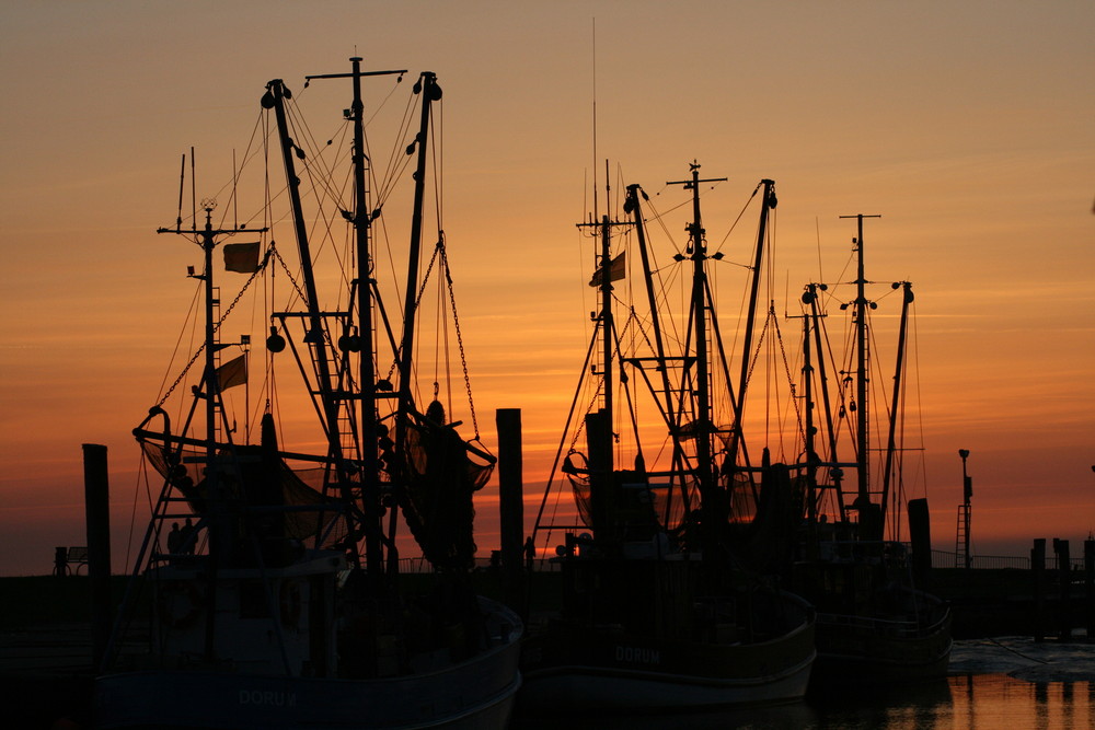 Krabbenkutter an der Nordsee 2008