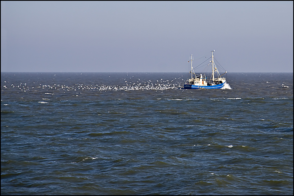 Krabbenkutter auf der Nordsee